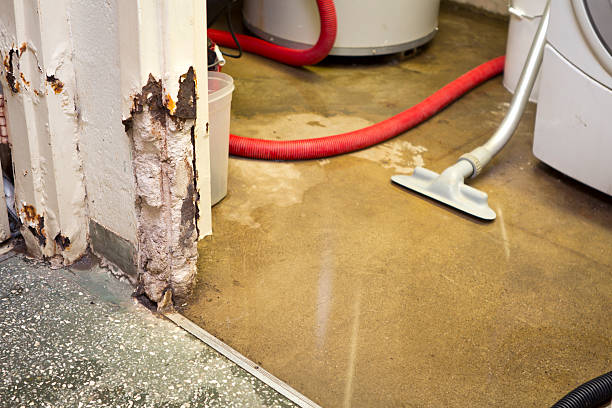 emergency basement leak repair company Fayetteville, AR